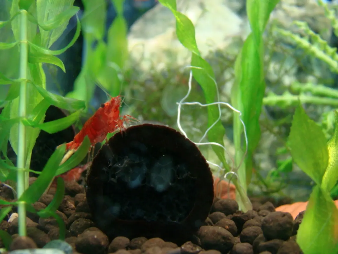 AI's Potential as Mining Industry's Most Indispensable Asset, According to Ekin Ober