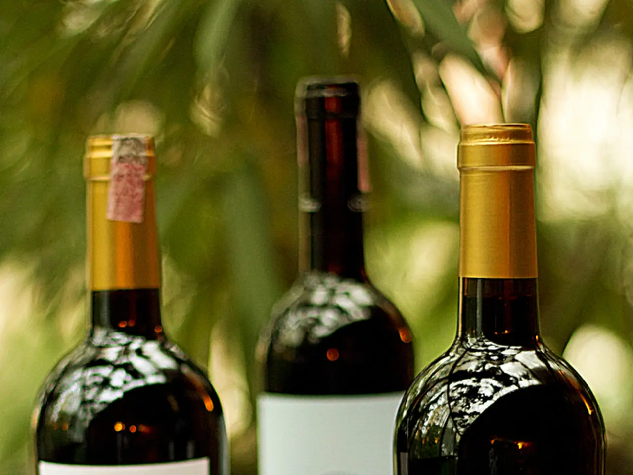 PacBio reveals intentions to enhance methylation identification in HiFi chemistry