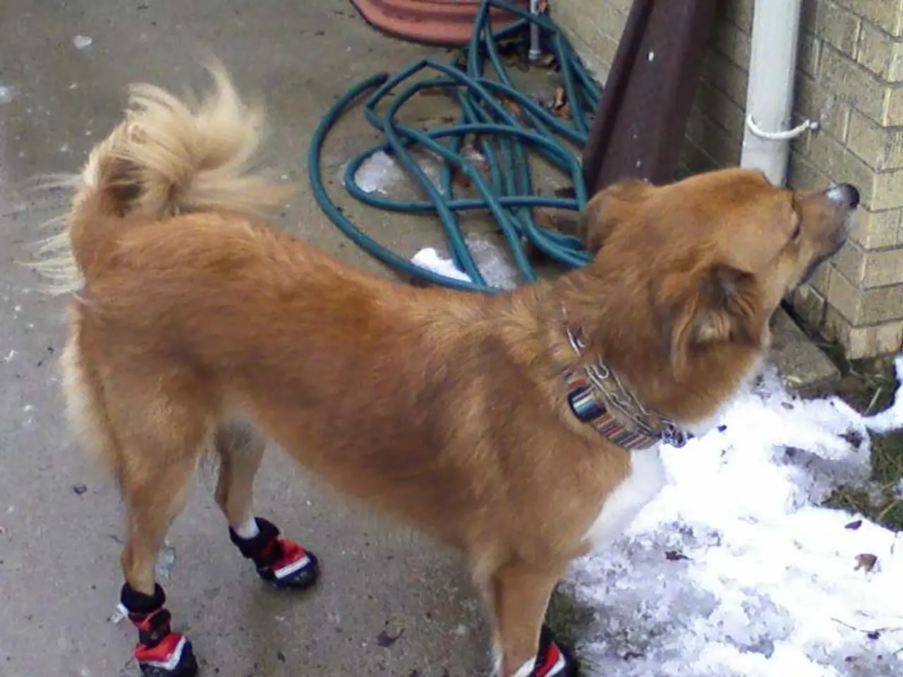 Dogecoin's price faces a critical hurdle as it maintains its support at the $0.196 level