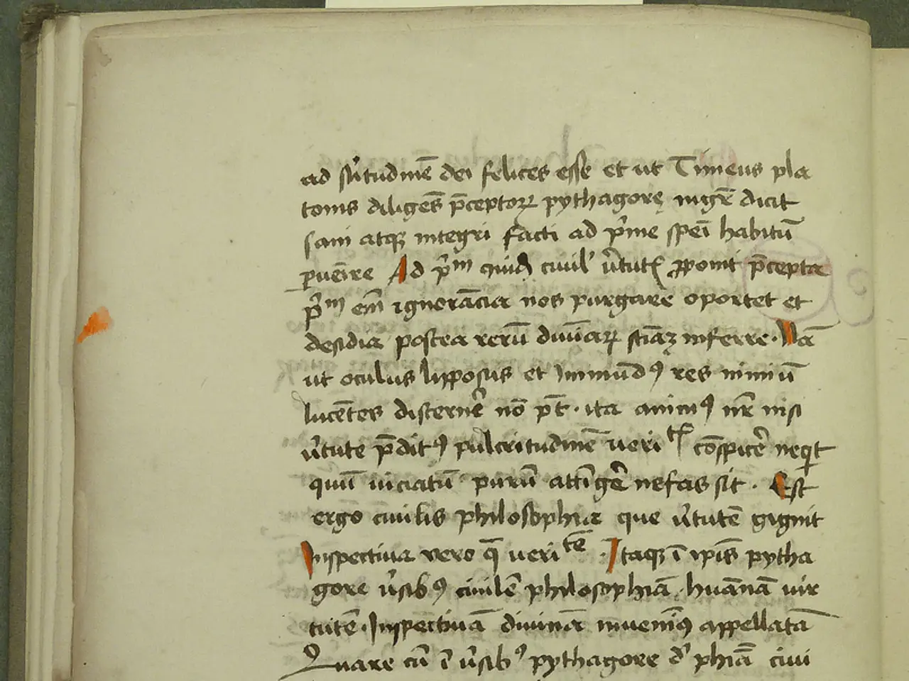 Altering Your 'Discovery feed' on TikTok: A Step-by-Step Guide