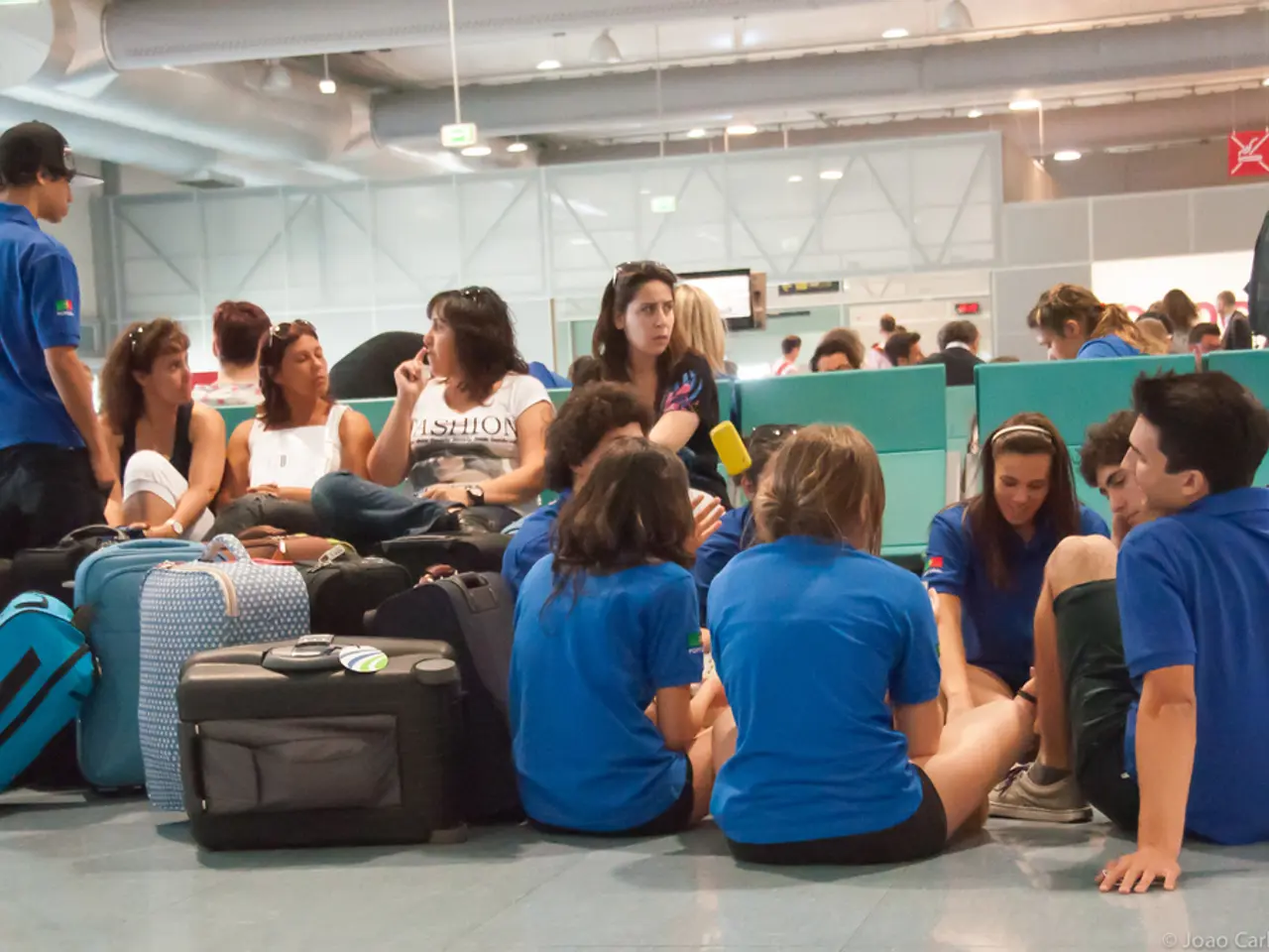 The Commission determines that the specified assistance aligns with the guidelines of the internal...