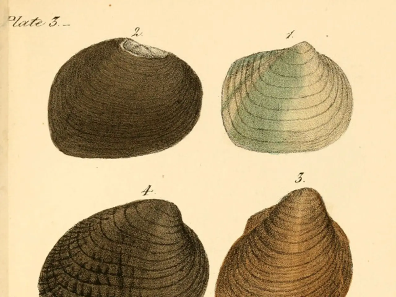 Remote Exploitation of Ghost Vulnerability through Remote Code Execution