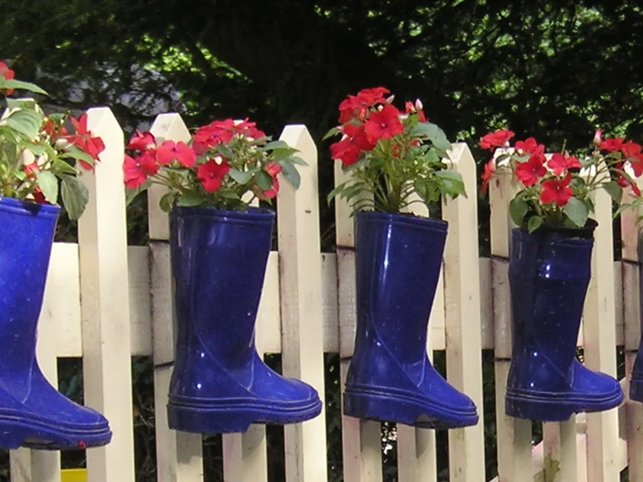 In the foreground of this image, there are few plants potted in blue colored boots which is on...