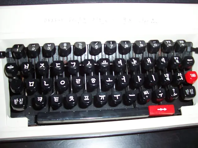 Premium Mechanical Keyboards Ideal for Coders: The Importance Explained
