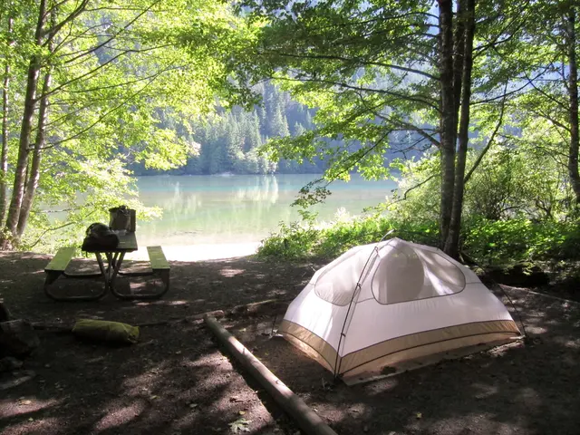 Essential Outdoor Apps for Your Smartphone: