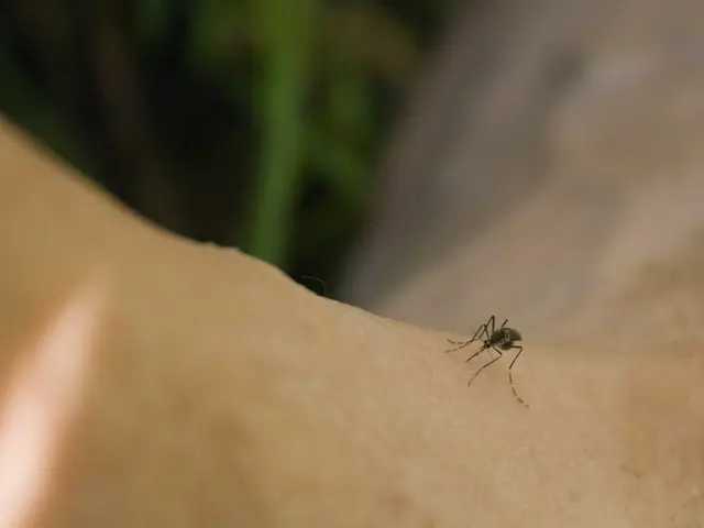 High-speed mosquito extermination: The LiDAR-guided 'Photonmatrix' device eliminates 30 mosquitoes...