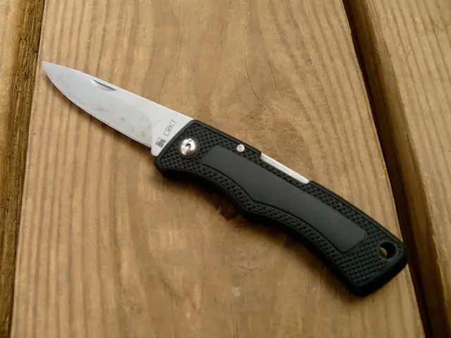 Strict Discipline Unleashed - Exploring the ZT 0512 Enforcement