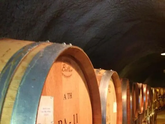 Authentication vulnerability in SonicWall systems poses imminent risks for potential exploitation