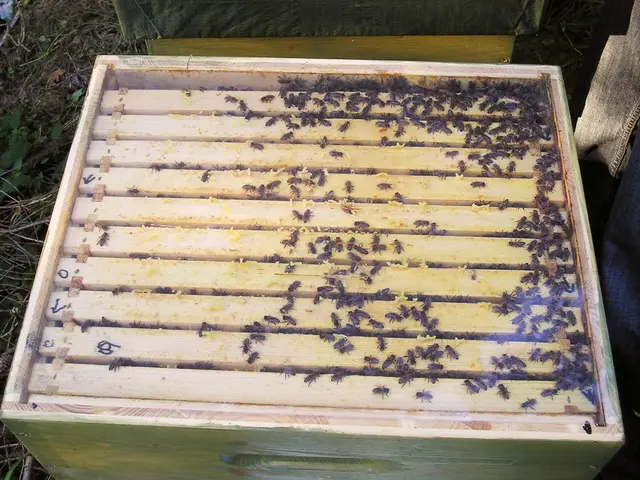 Unveiling the Potential Transformation of Conservation through Airborne DNA Analysis