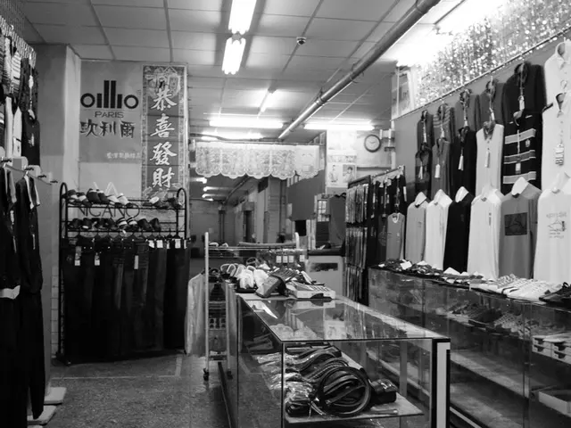 Fashion Commerce Insights