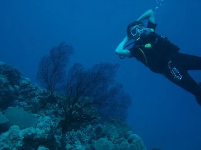 Saving a Teenager from Drowning by a Fisherman Using a Drone in Florida
