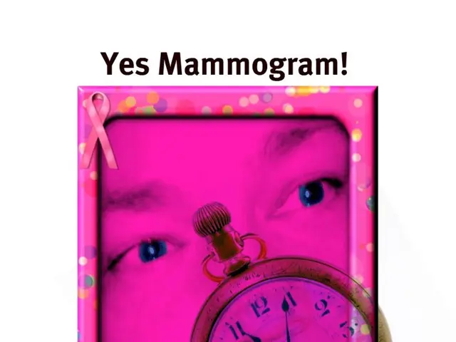 Examining Detailed Labeling in Machine Learning, Frame by Frame