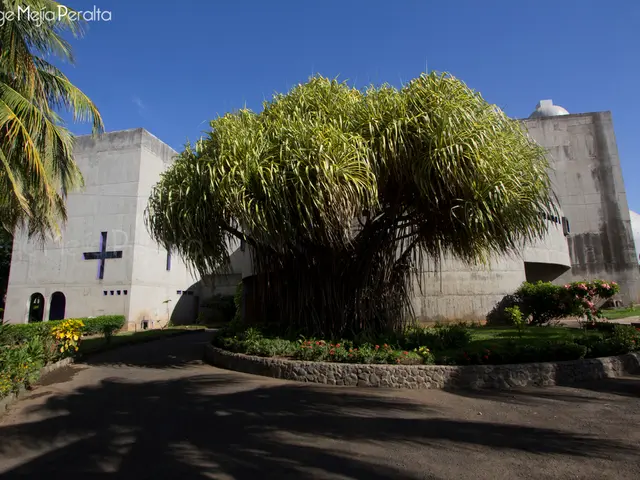 Google Faces Compensation Demand from Argentines Over Unintentionally Exposed Nudity in Street View...