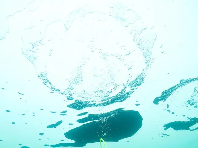 Capturing Stunning Underwater Wide Angle Photographs