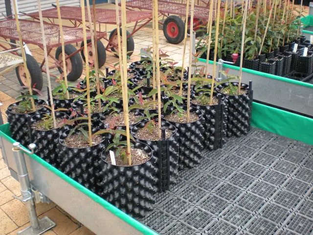 Gigantic Storage for Solar Panels on Balconies: XXL Storage Unleashes Extraordinary Power