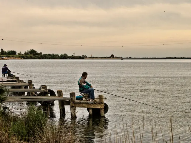 "The vastness of the ocean is no longer an obstacle to monitoring": Exploring how AI and satellite...