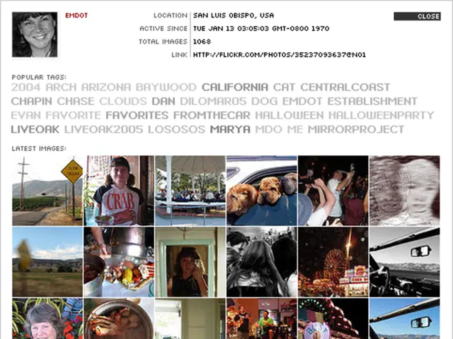 The Importance of Web Fonts in Enhancing Online Reading Comfort - Spare Your Readers from Visual...
