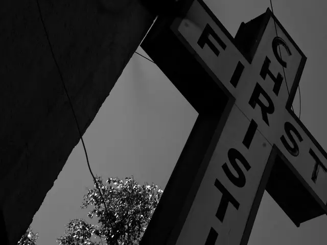 AI's Behavioral Structures: An Explanation of Their Functionality