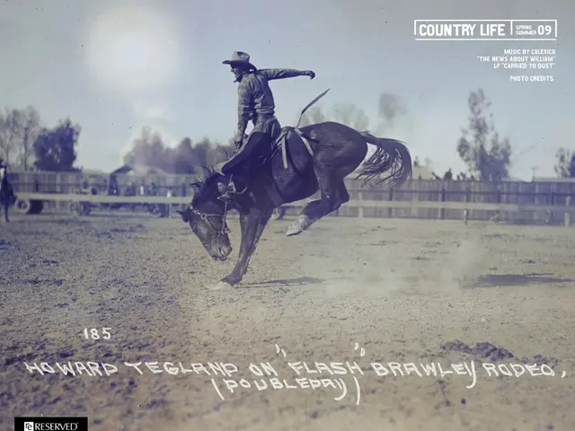 A Guide for Roping the Wild West