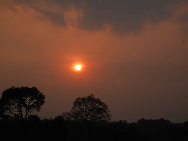 API for Accessing Environmental Facts Data Service