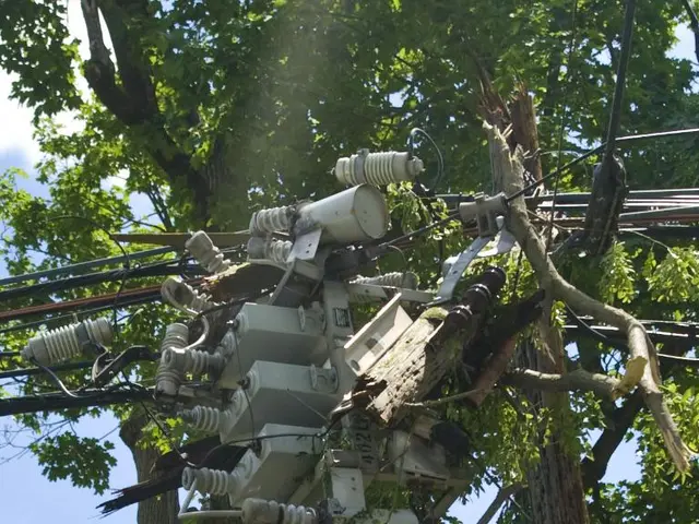 Transformer Power Rating: Basic Concepts in Selection and Functioning
