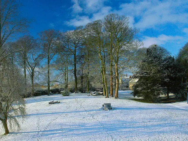 Migrating Data from Oracle to Snowflake: A Step-by-Step Guide