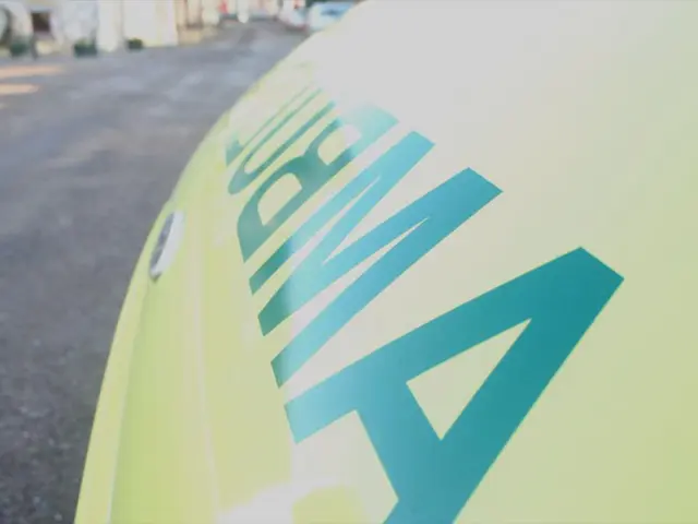 Automaker Stellantis Abandons Plans for Hydrogen Fuel-Cell Van Production
