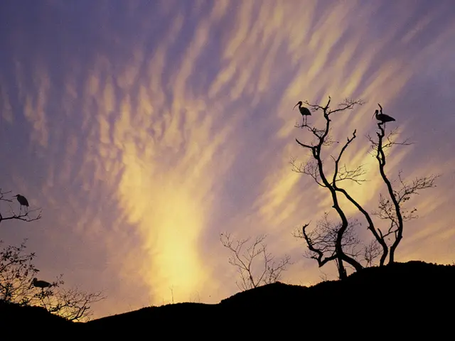 Investigate Various Cloud Computing Service Offerings