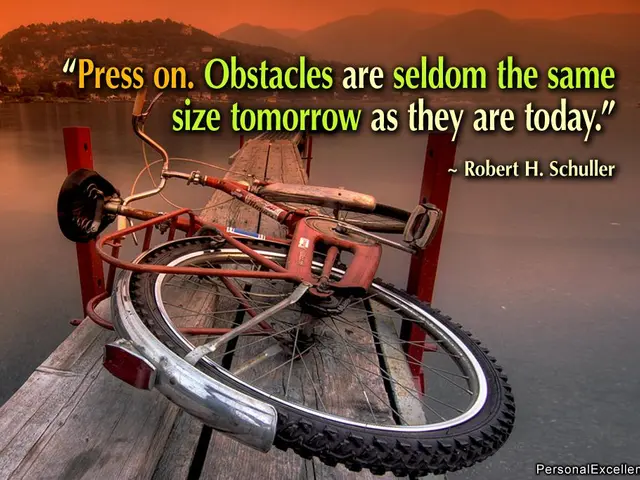 Regulation Implementation Acts to be Established, Specifying How This Regulation should be Applied.