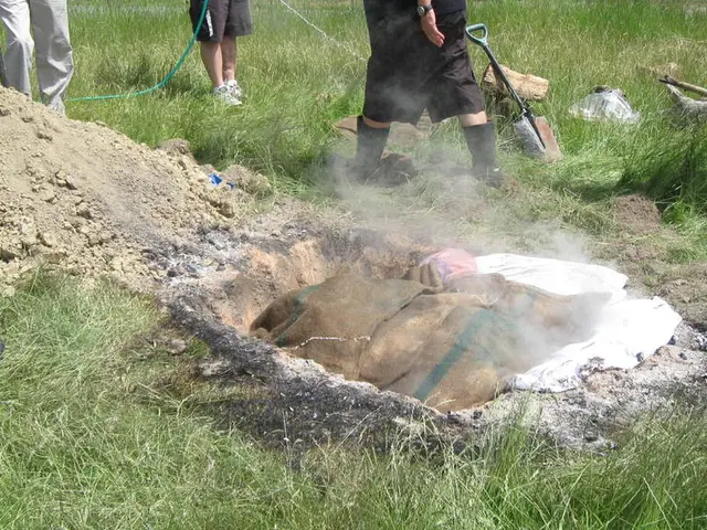 Man Claiming Lost $500 Million in Bitcoin Files Lawsuit Against Local Authority for Dump Site...