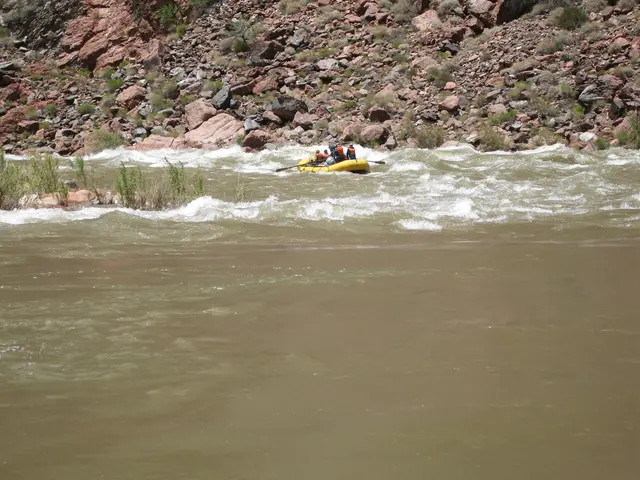 Global Grassroots Initiative Taking Center Stage!