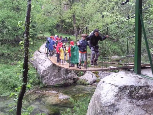 Proposal Passed for a Directive Regarding Commission's New Guideline