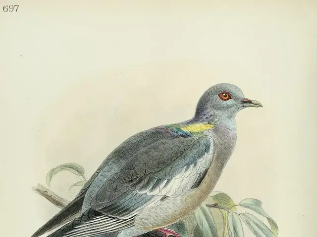 Wuchang's latest patch for Fallen Feathers under suspicion for inflating internal render resolution...