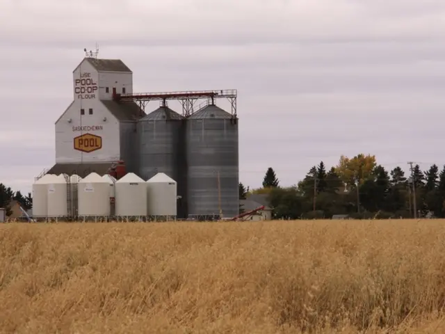 Amid market turbulence, Saudi Aramco reports a Q2 earnings of $22.67 billion