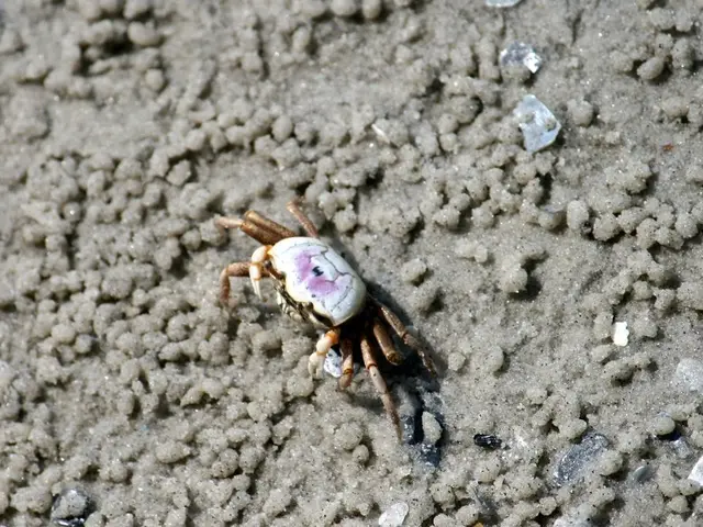 Debating the Convincing Power of Demo Drives: Is a 2026 GMC Hummer EV King Skeptic-Wooer Possible?