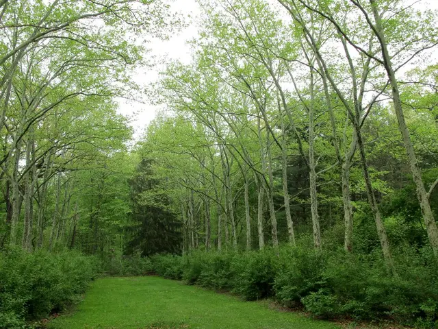 Partnering Together for Innovative Biodiversity Risk Assessment: One Earth and Dunya Analytics...