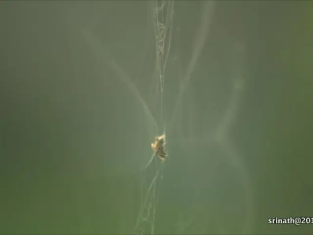 Chrome Suffers Zero-Day Exploit by TaxOff, Installing Trinper Backdoor