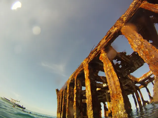 Shipping container costs remain unchanged post the most recent tariff deadline.