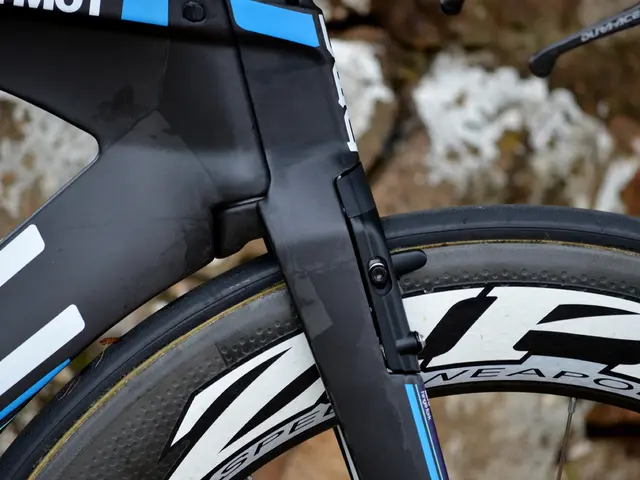 Affordable Quality of the Tenways Duo Longtail in Question