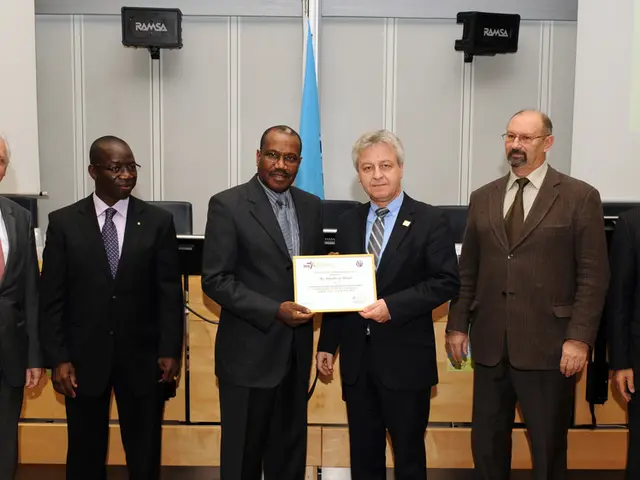 Expert Witnesses Specializing in Source Code: Crucial Duties Elucidated with 7 Points