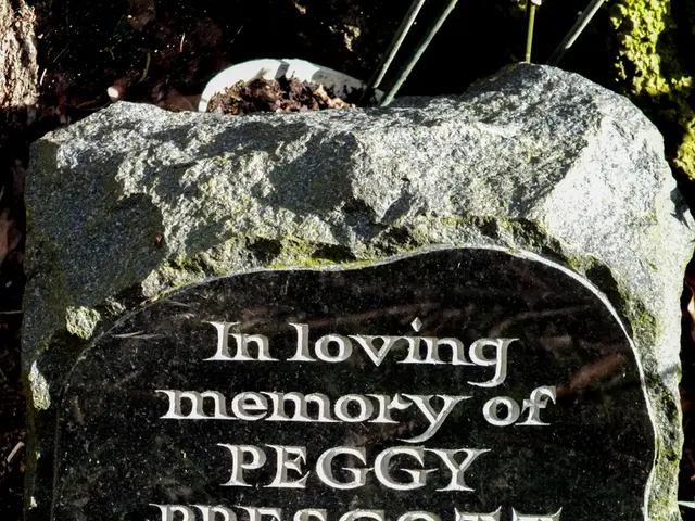 Ancient Stone Tools from a Previously Unknown Hominid Species, Dating Back 1.5 Million Years, Found...