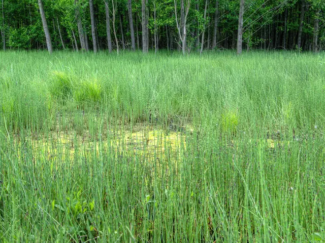 Financial backing for a research initiative at Catilla-La Mancha, aimed at enhancing the quality of...