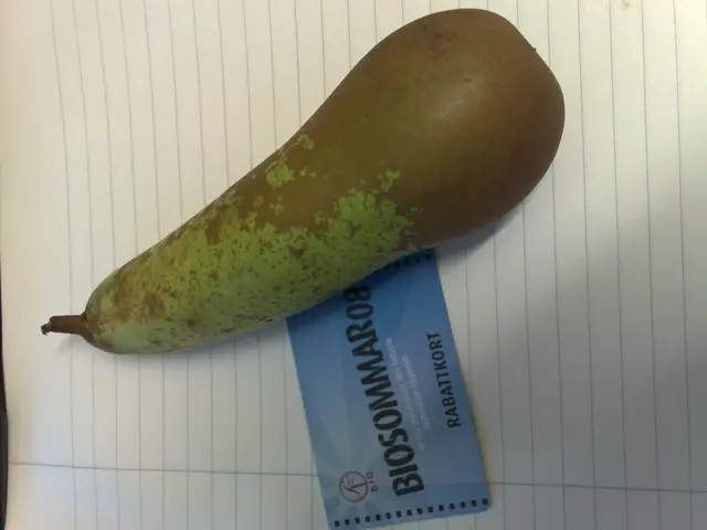 Cross-Platform Malware Disseminated Through 11 Harmful Go Packages and npm Libraries