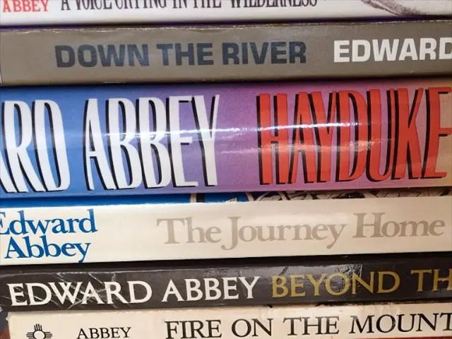 AI and Book Piracy Merge in a Fresh Epoch