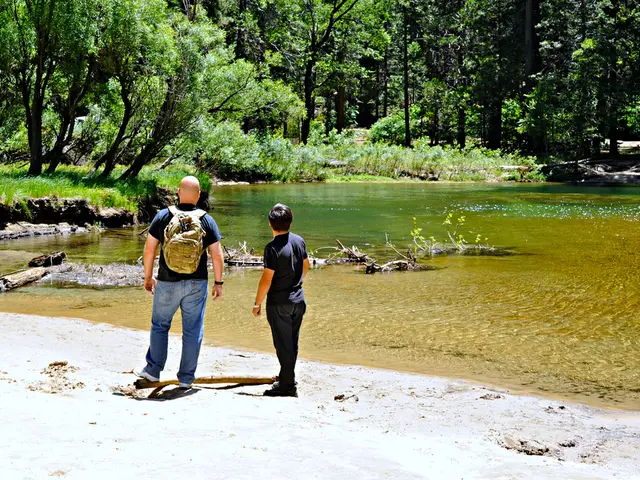 Financial institution Allica Bank teams up with Yapily to unveil a fresh Open Banking-empowered...