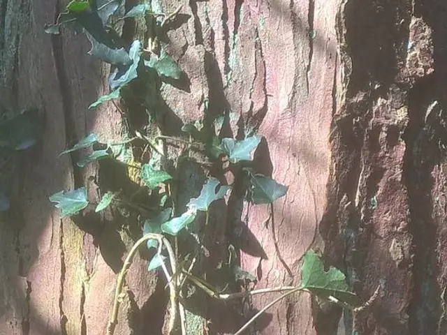 Extended security log retention by Microsoft after a series of hacks on the State Department