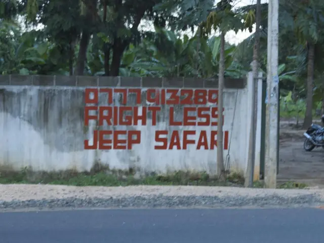 ENA, or Ethena, has recovered and may potentially soar to greater heights.