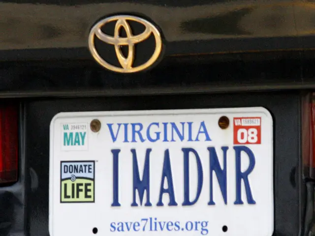 Strategies for Expanding Your Car Expertise: Unravelling the Mystery of the Vehicle Identification...