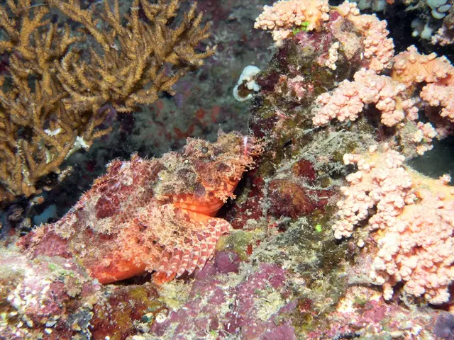 Redefining Financial Strategies for Seas and Oceans