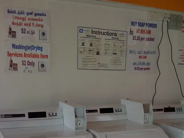 Binance unveils the Xeleb (XCX) protocol on its Alpha version, offering an airdrop as part of the...